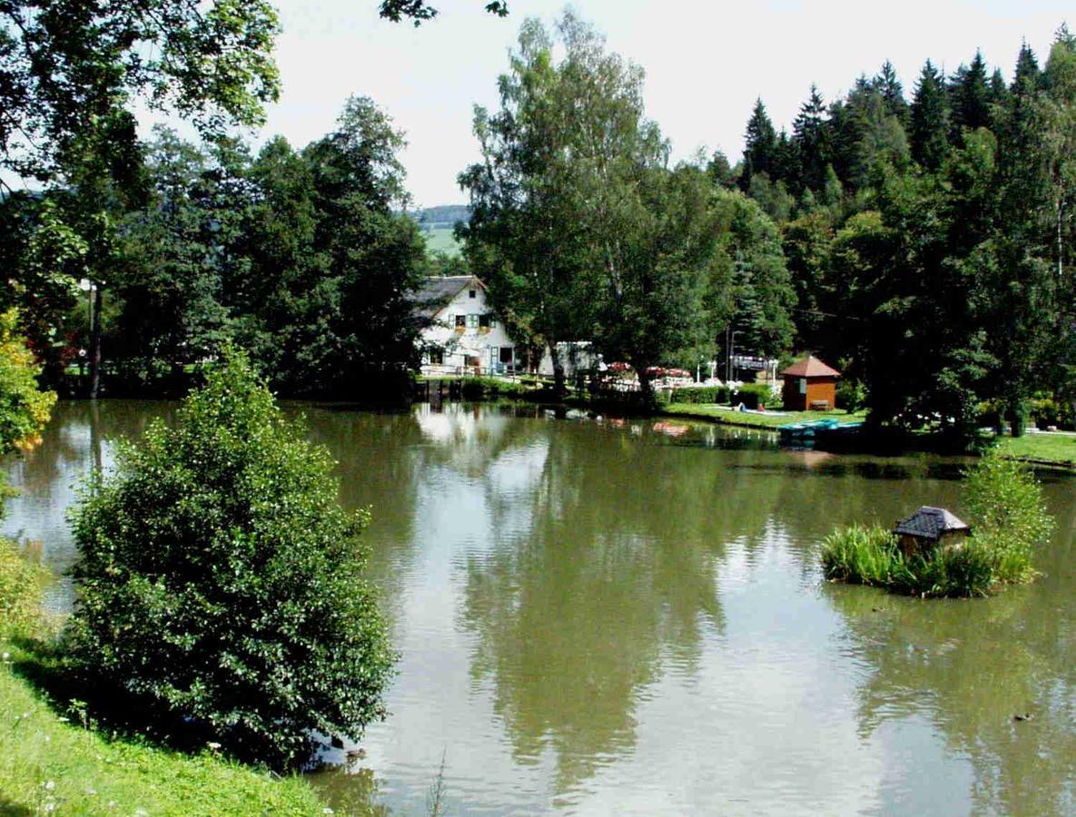 Hotel Gasthof Zum Walfisch Klingenthal Exterior photo