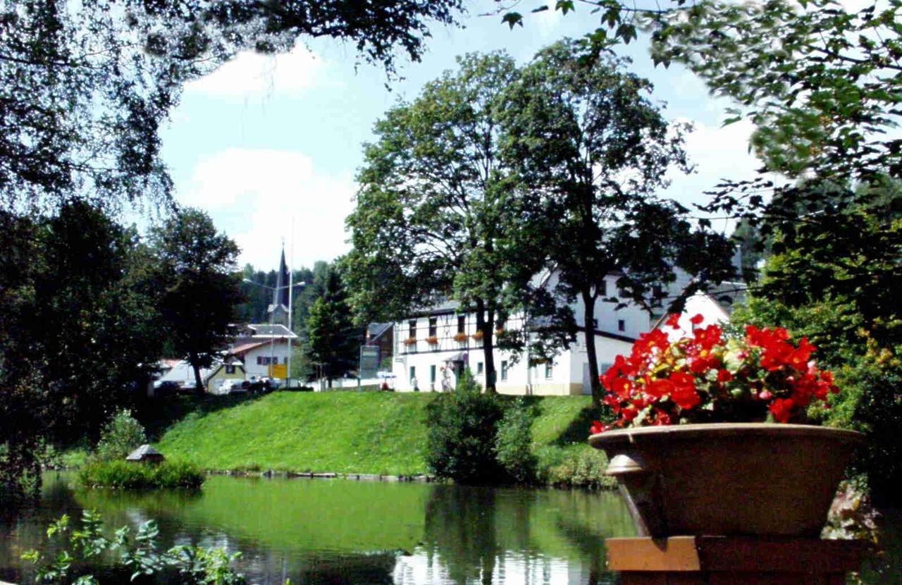 Hotel Gasthof Zum Walfisch Klingenthal Exterior photo