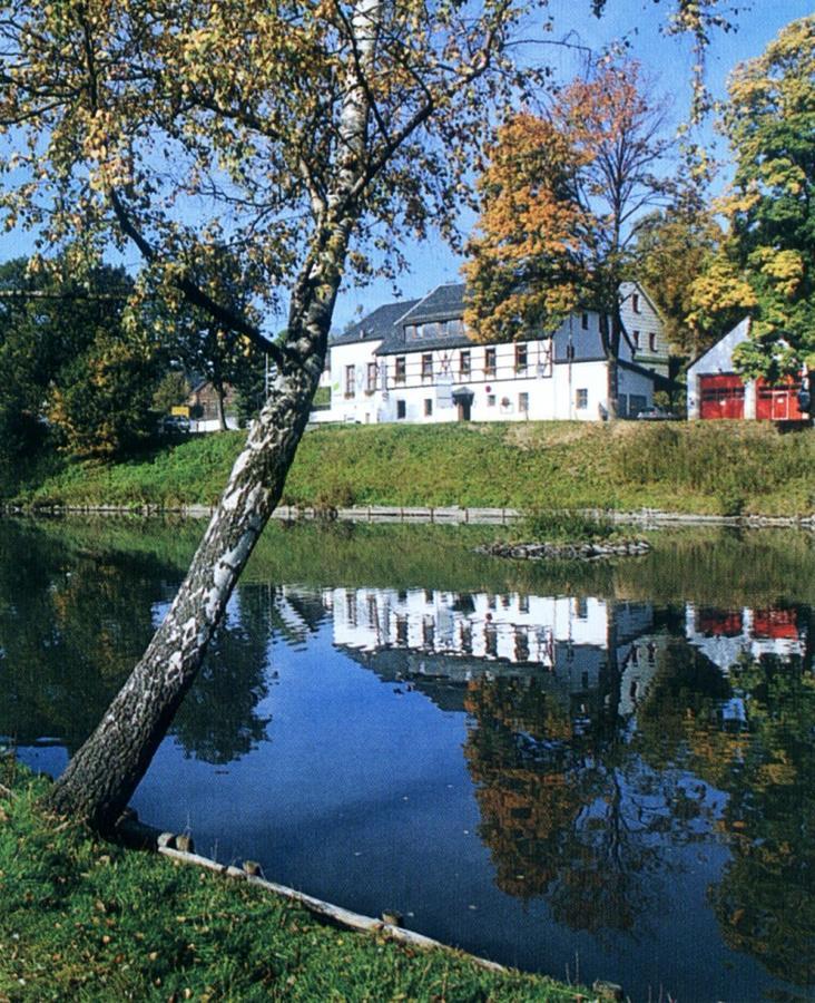 Hotel Gasthof Zum Walfisch Klingenthal Exterior photo