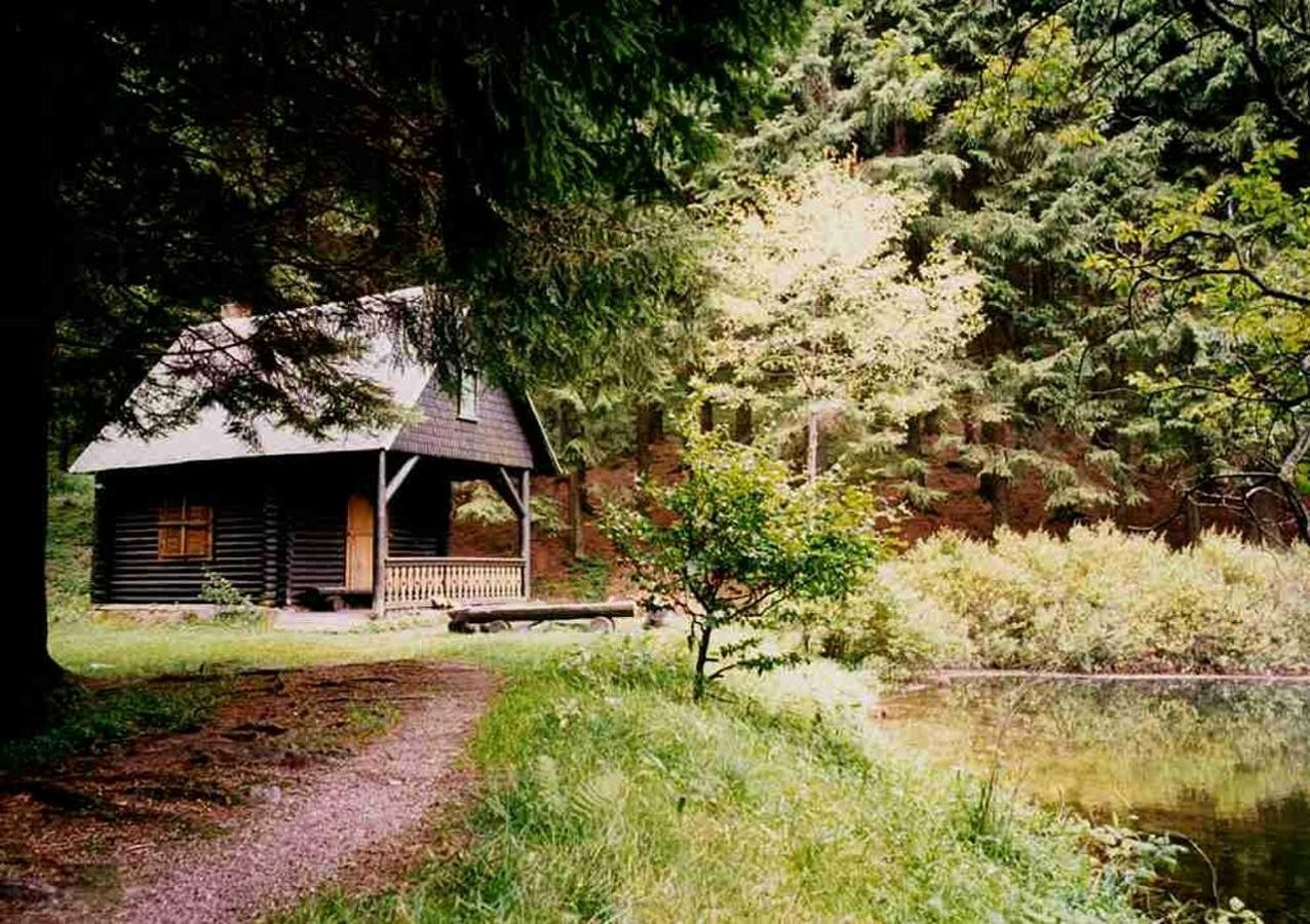 Hotel Gasthof Zum Walfisch Klingenthal Exterior photo